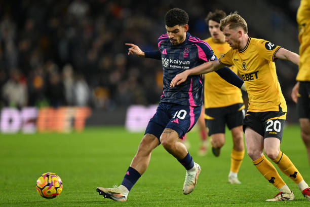 的职业发展 的职业发展