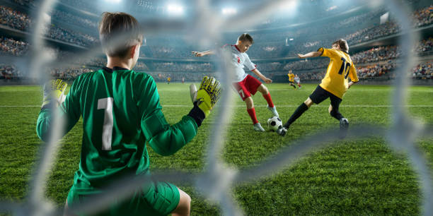 成为了球队 成为了球队